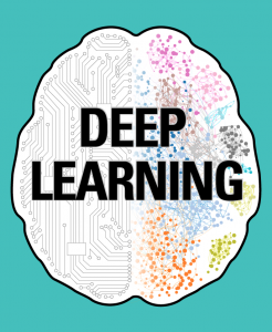 deep learning brain